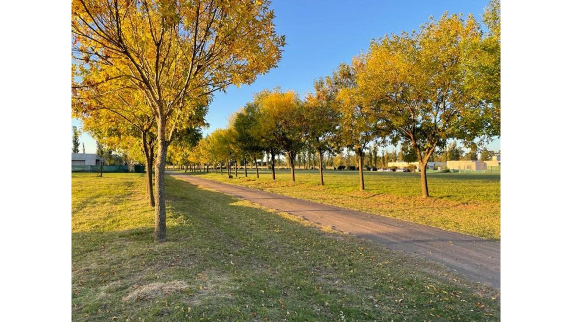 Terreno en Venta de 1078,0 m2