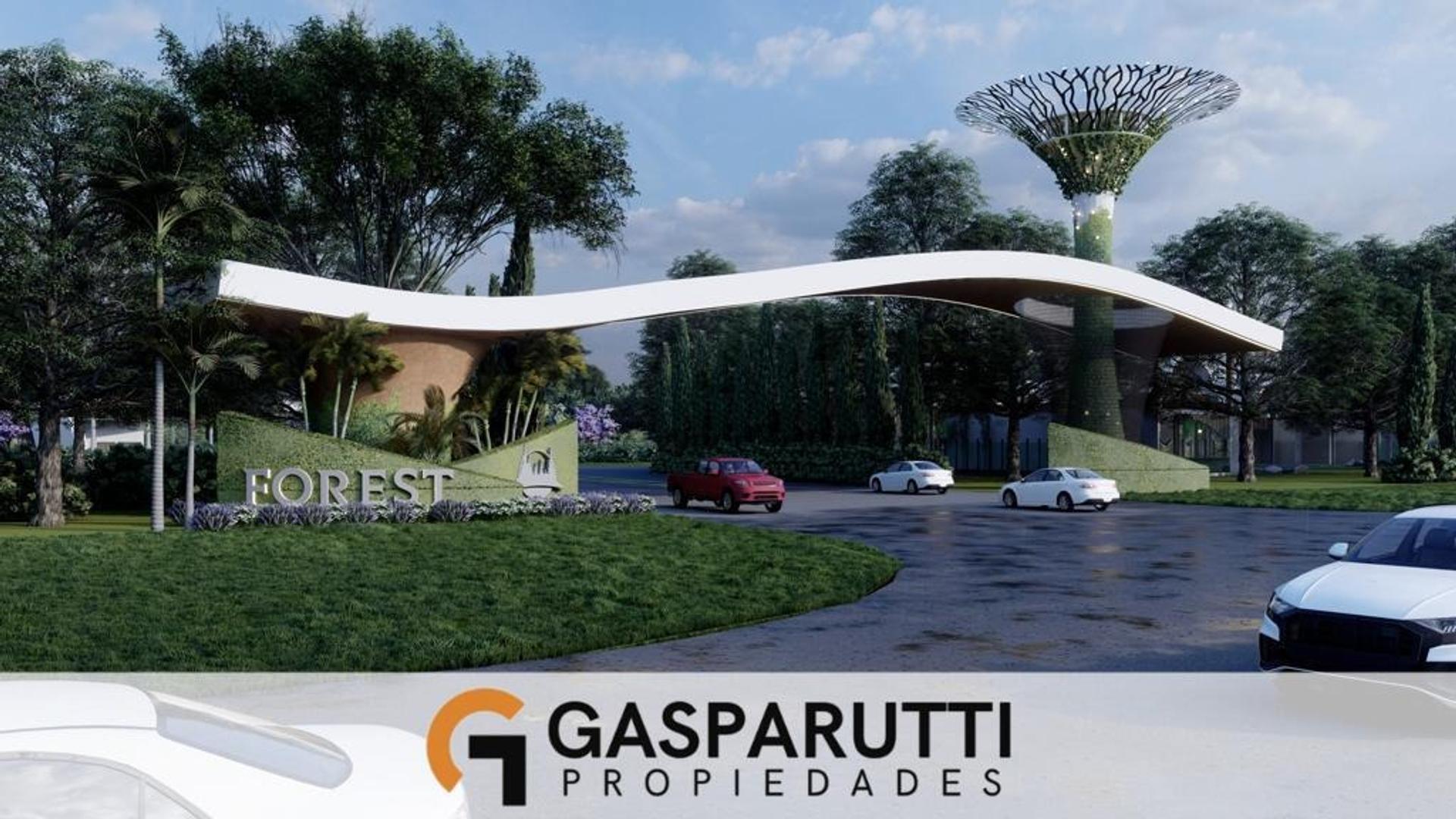 Forest Canning, Ezeiza