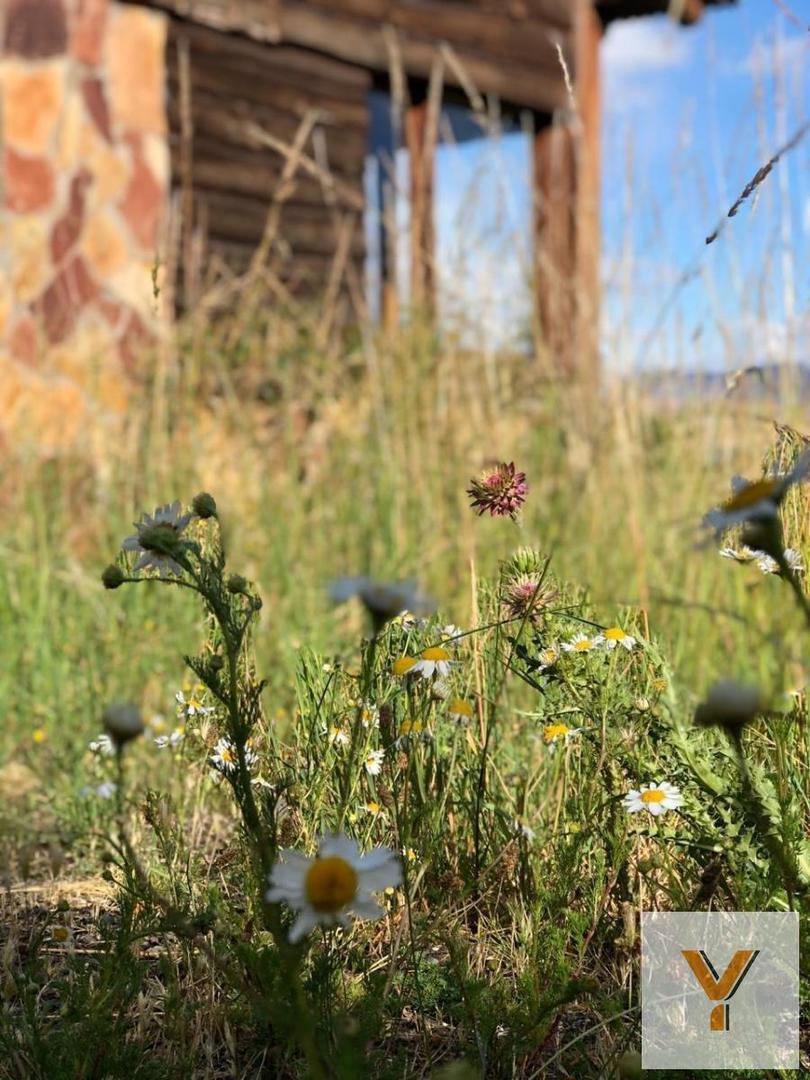 Campo en venta - 1 Ha - Trevelín
