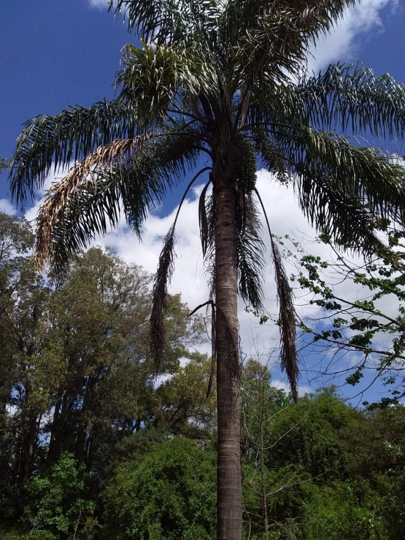 Quinta en Venta de 2 dormitorios