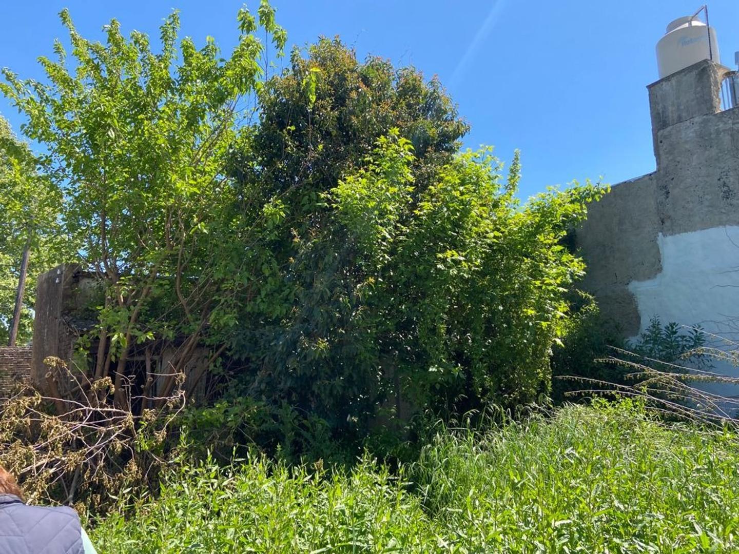 EXCEPCIONAL TERRENO PARA EMPREDIMIENTO