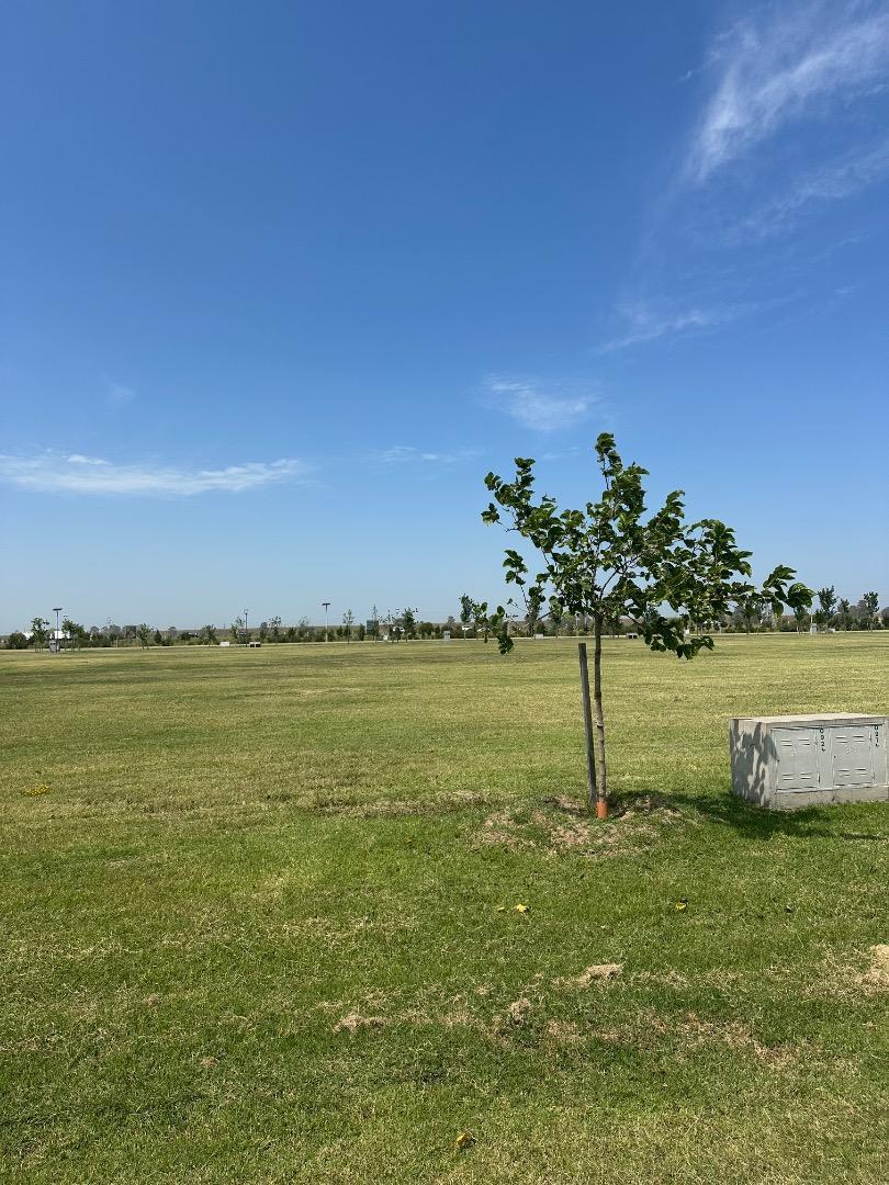 Terreno en Venta de 1200,0 m2