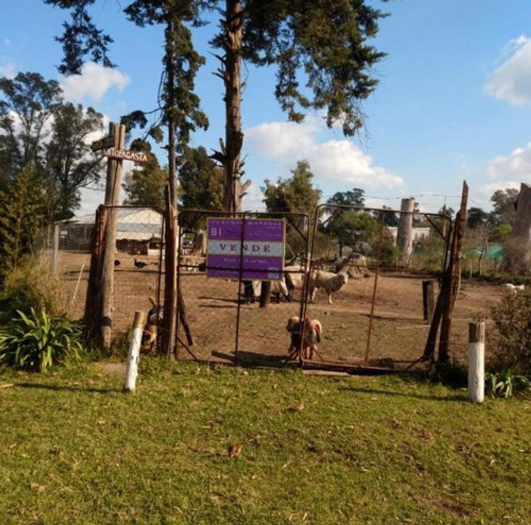 Oportunidad Casa Sobre Lote De 2000 M2 Ideal Inversores