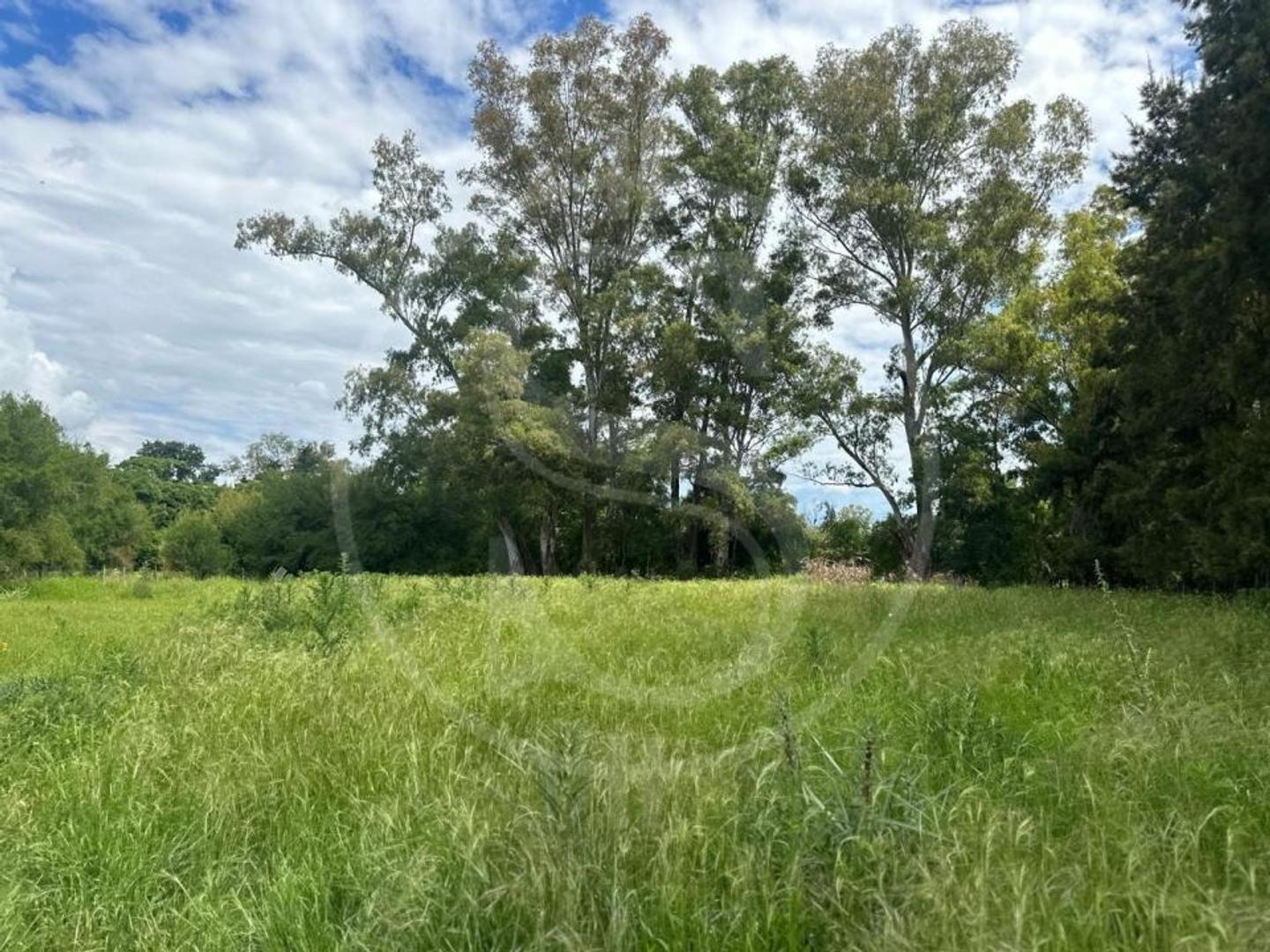 Terreno en Venta de 5060,0 m2