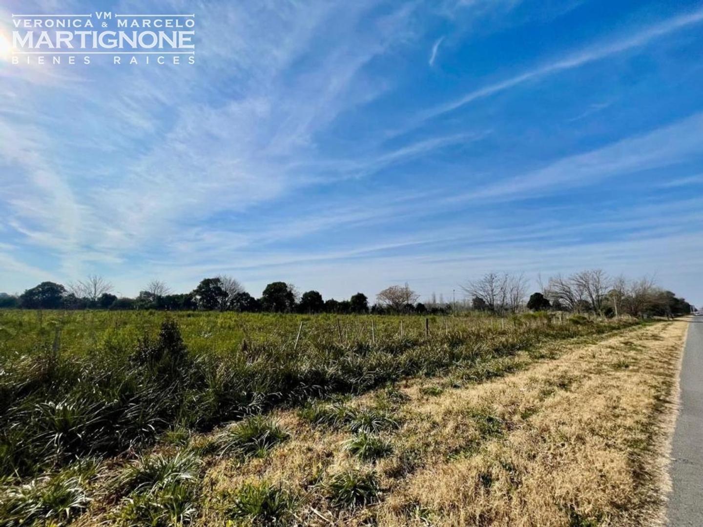 Única Fracción 65.000 M2 - Exaltación De La Cruz