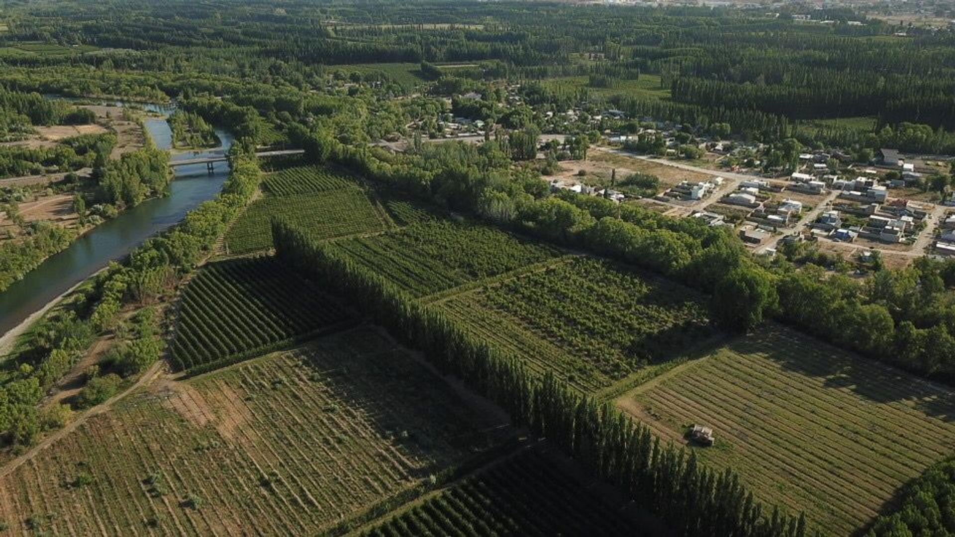 VENTA CHACRA 65 HECTÁREAS, CENTENARIO NEUQUEN