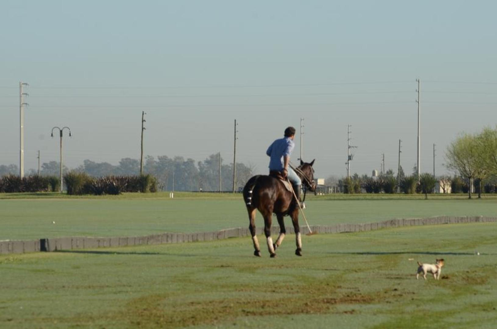 dos Hectarias en Chacras de la Trinidad, OFERTA