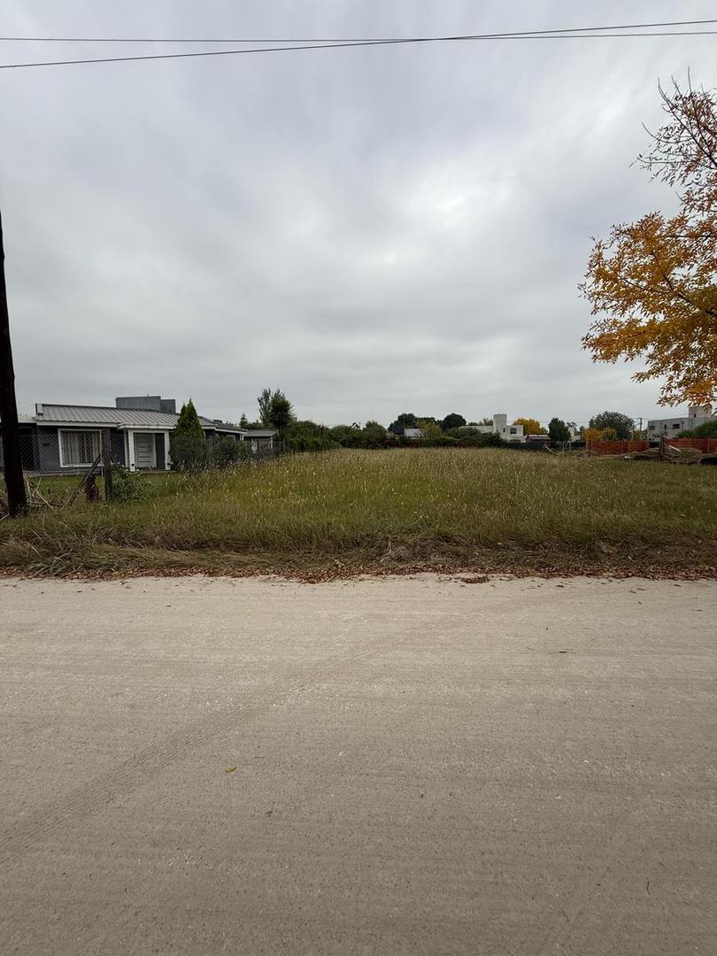 Terreno en Venta 25  mts Frente