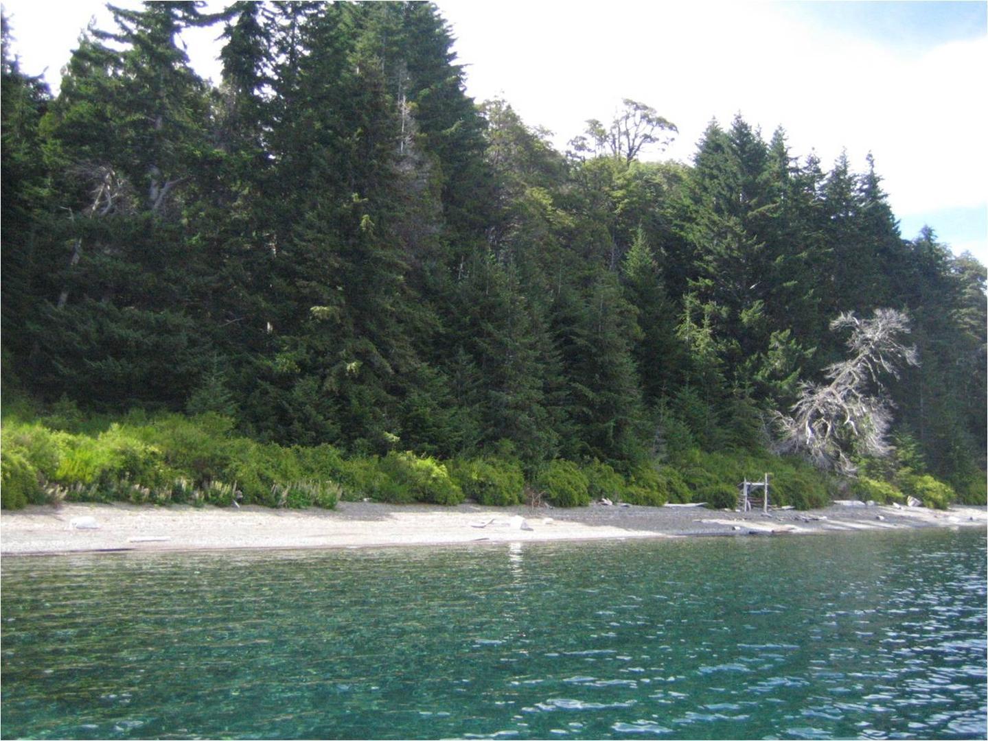 Terreno en Venta de 34000,0 m2