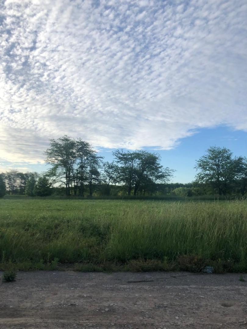 Terreno en Venta de 2000,0 m2