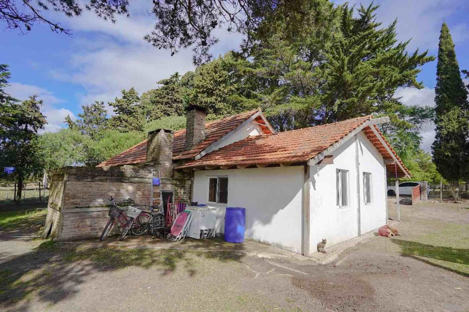 Ruta 8 LA PALMITA 100