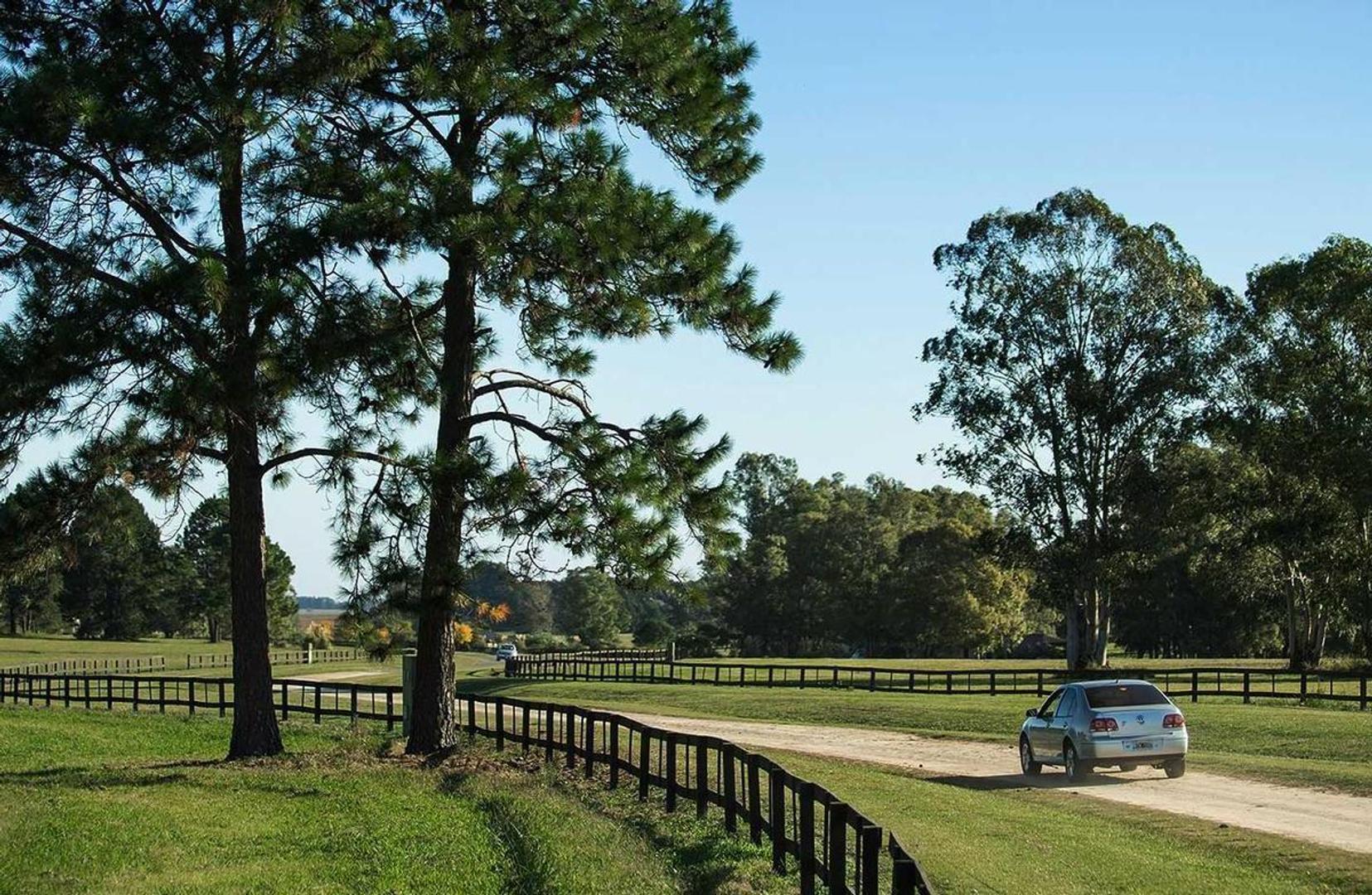 Terreno en Venta en Quebradas, USD 49.000