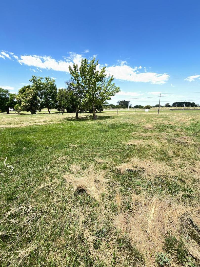 Terreno en Arroyo De La Cruz