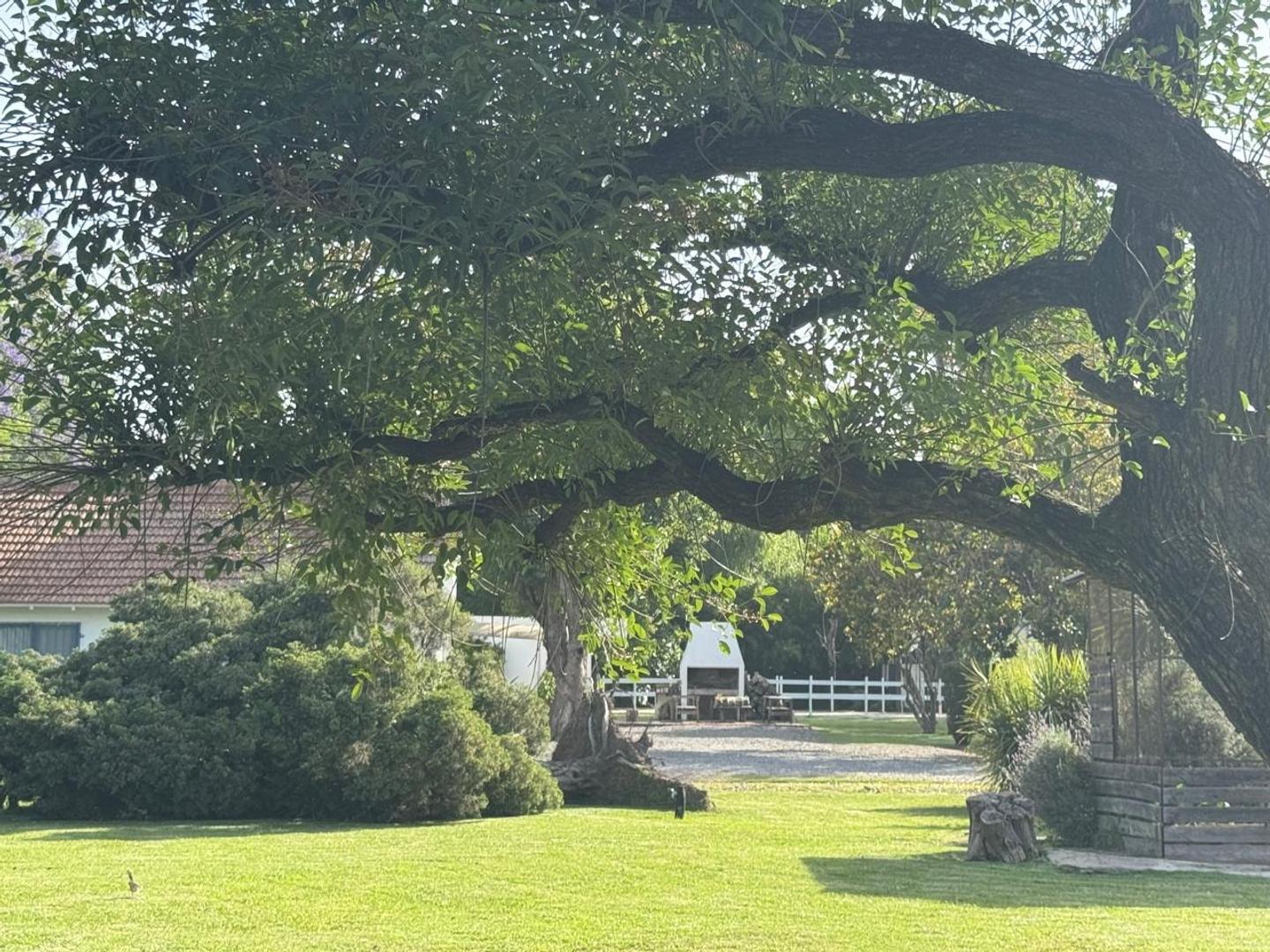 Casa en Venta con 7 cocheras