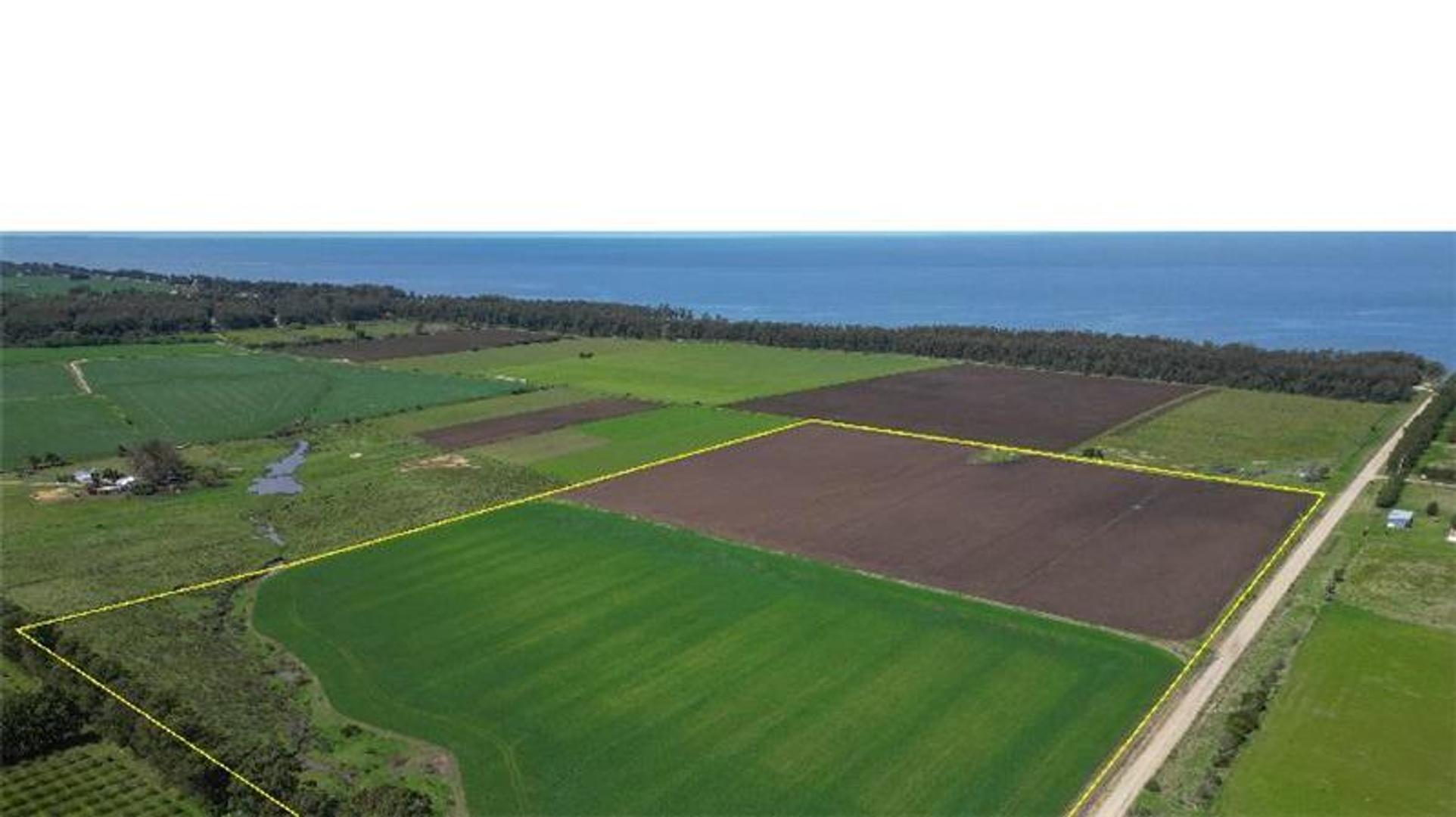 Campo en Venta Chacra