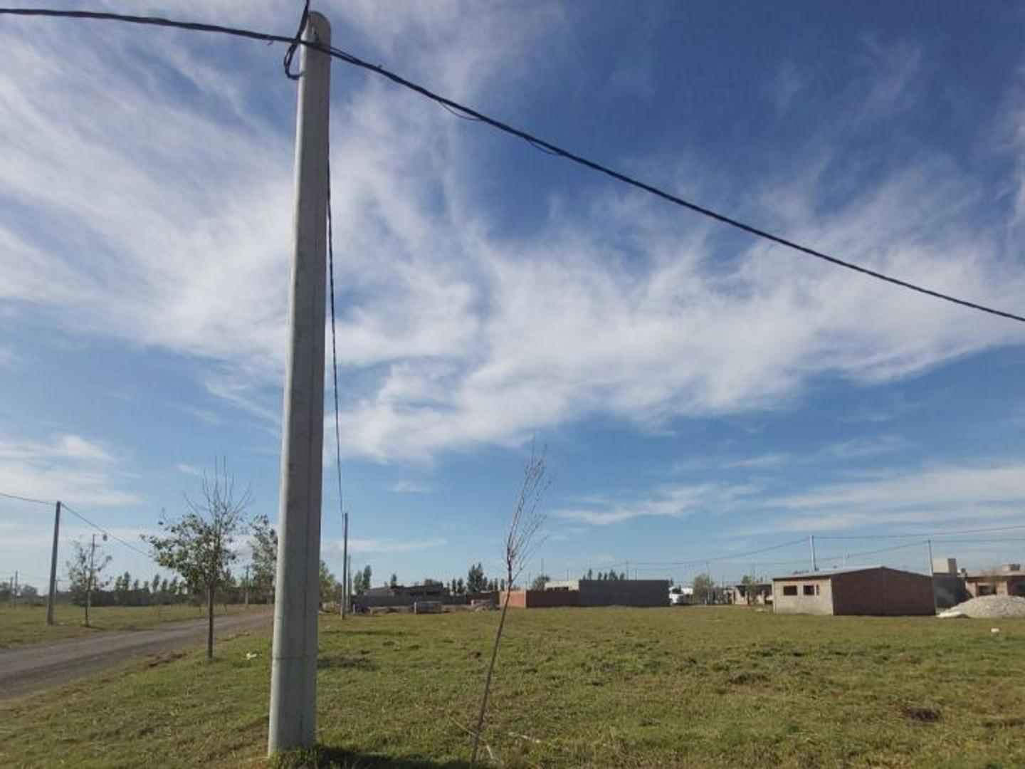 Calle n* 4 y Boulevard principal La Pedrera