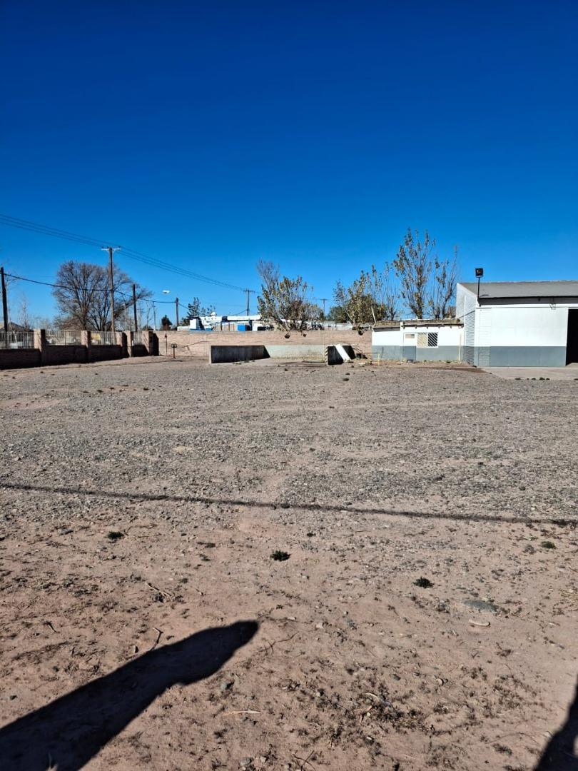 GALPON EN ALQUILER RINCON DE LOS SAUCES