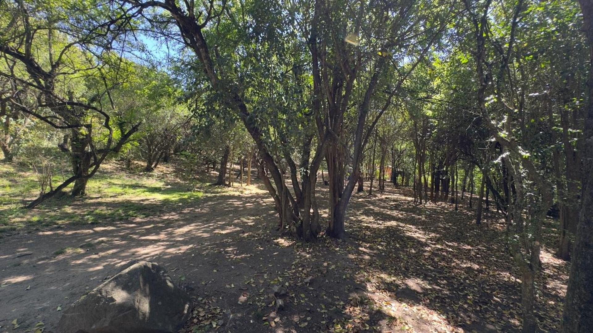 Terreno en Venta de 2000,0 m2