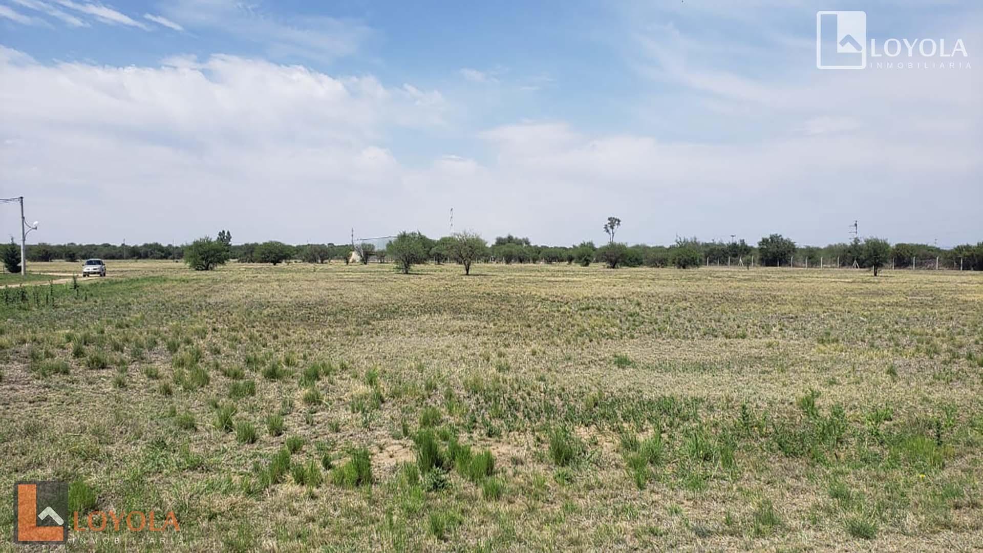 Una Hectárea ( Solares )