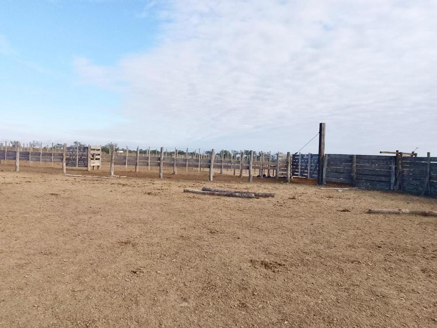 Campo MIXTO 3.000 hectáreas LOGROÑO SANTA FE