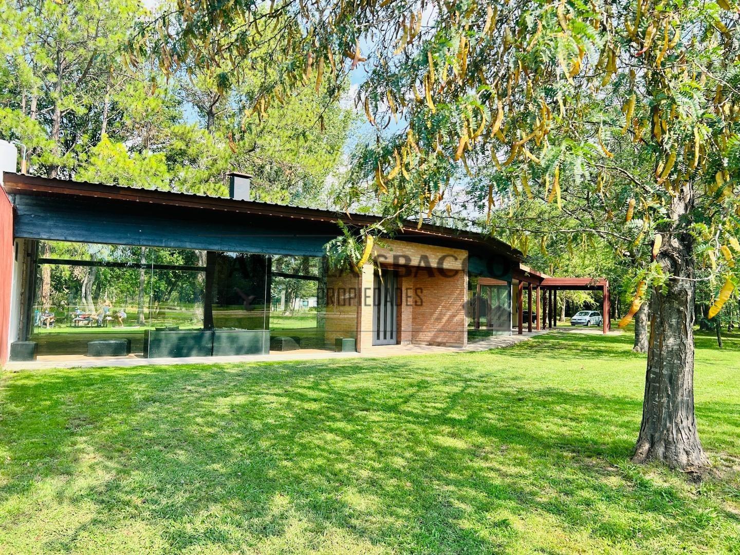 Rio Sauce Grande. ( Amarylis).