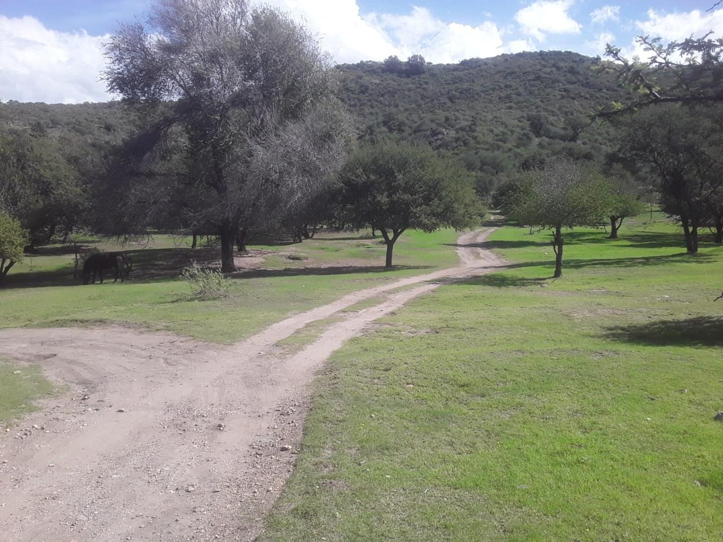 Terreno en Venta de 1200,0 m2