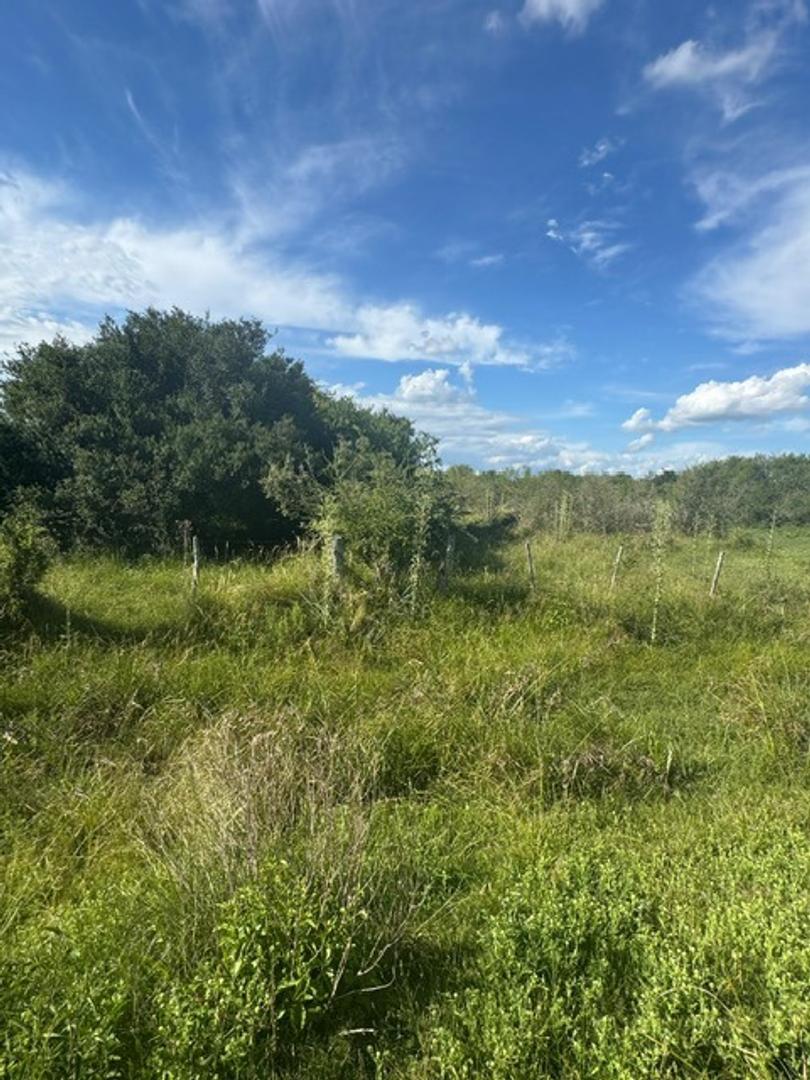 Campo 21 Hec Ganadero Y Agricola Sauce Corrientes