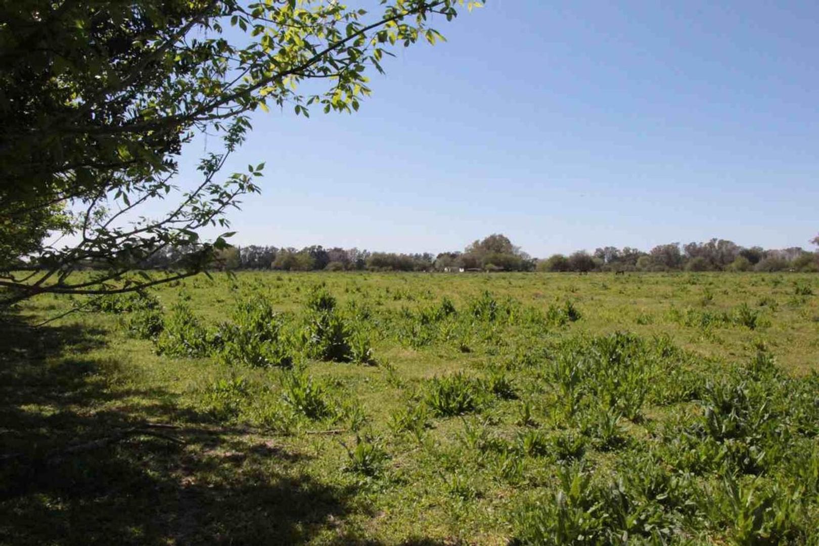 Terreno en Venta en Vicente Casares, USD 2.500.000