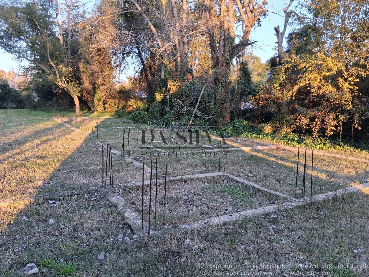 Terreno Forestado + Anteproyecto + Bases en C.C EL MORO