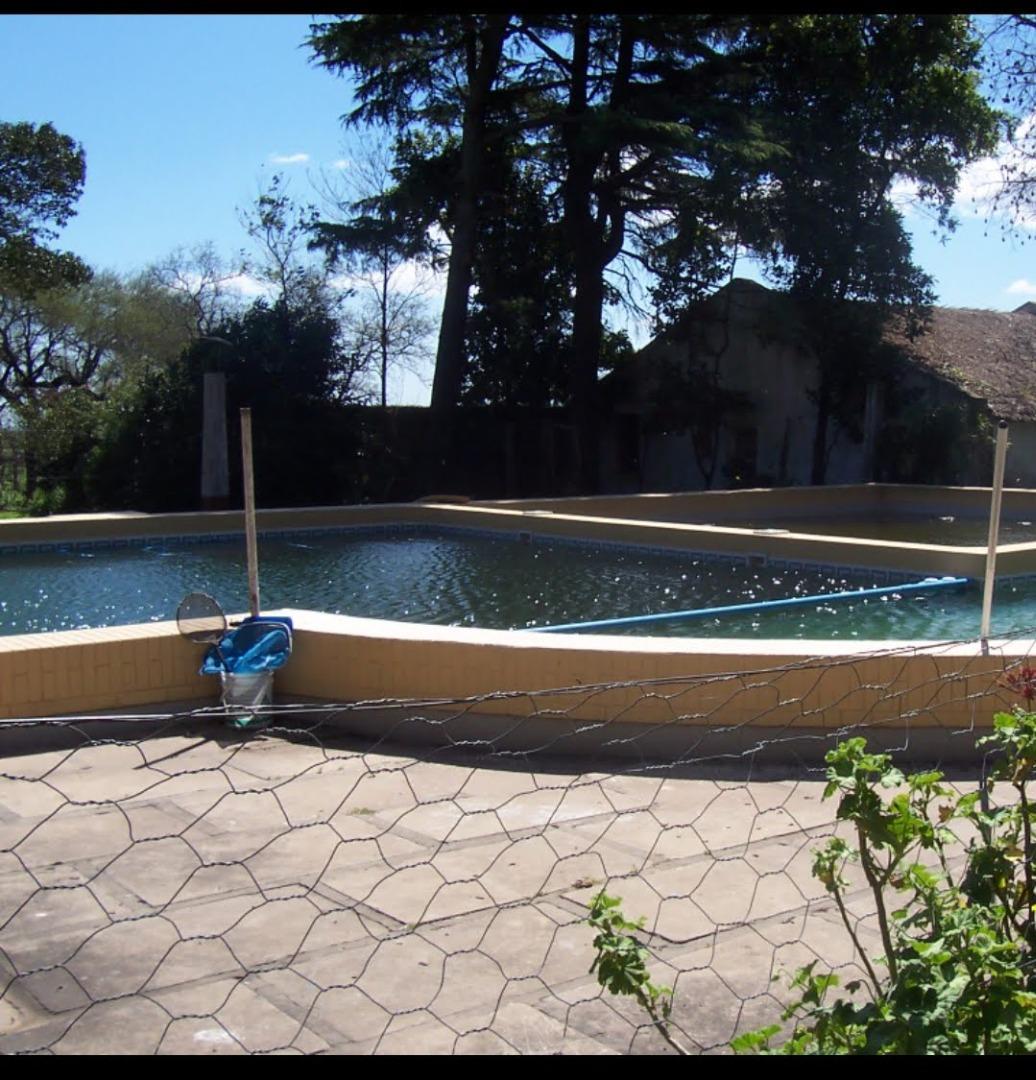 2000 hectareas en zona molino Doll