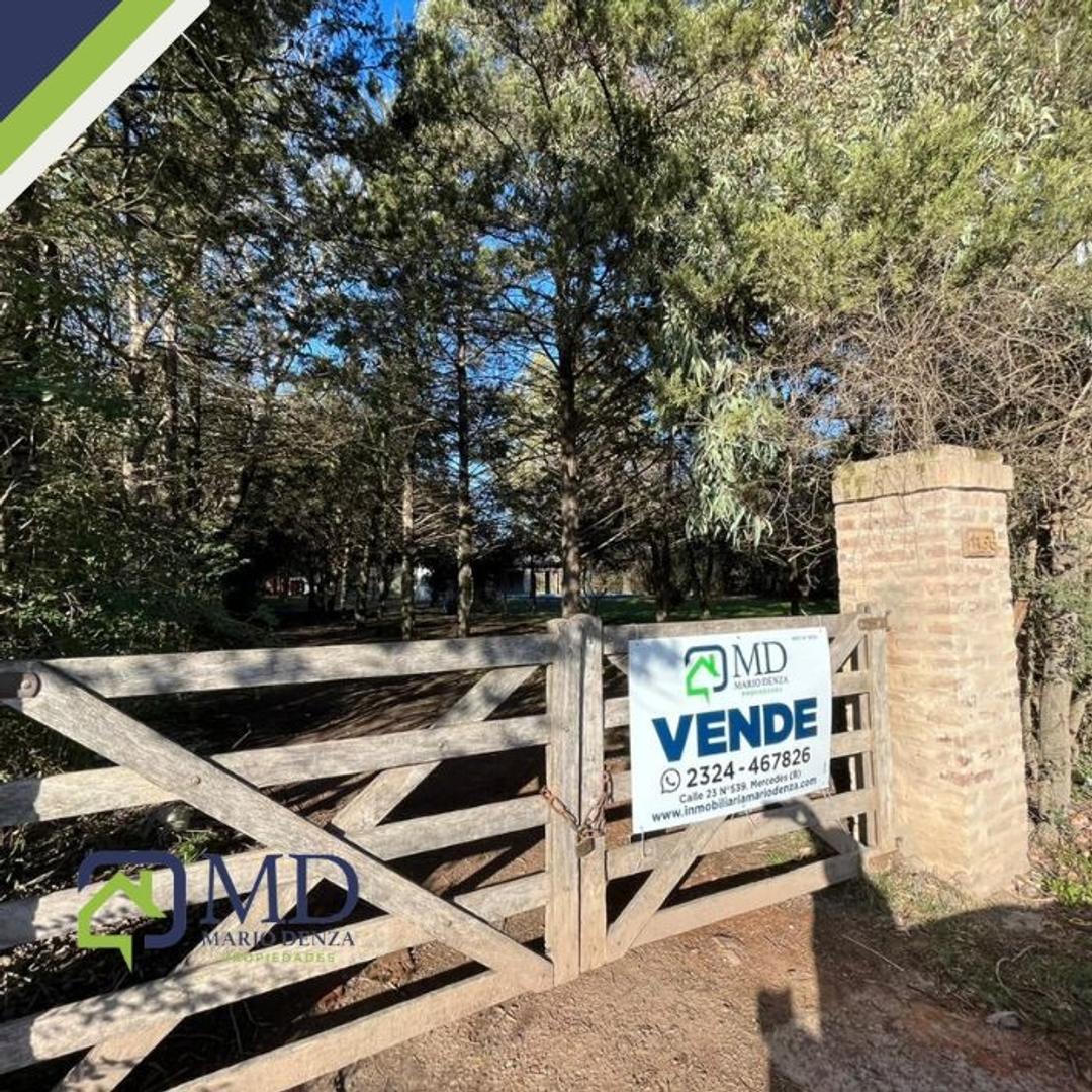 Quinta con 4.000m2 de terreno con arboleda ¡RETASADA!