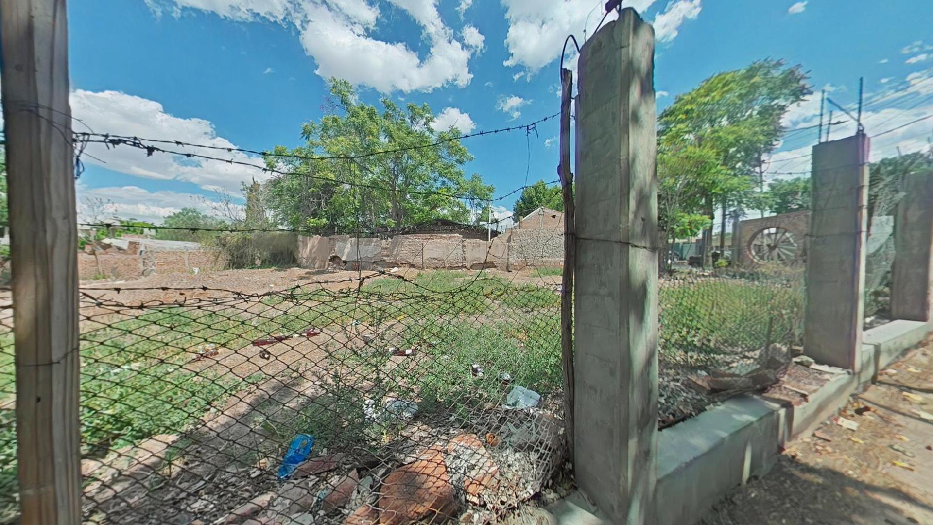 Carola Lorenzini al 1300