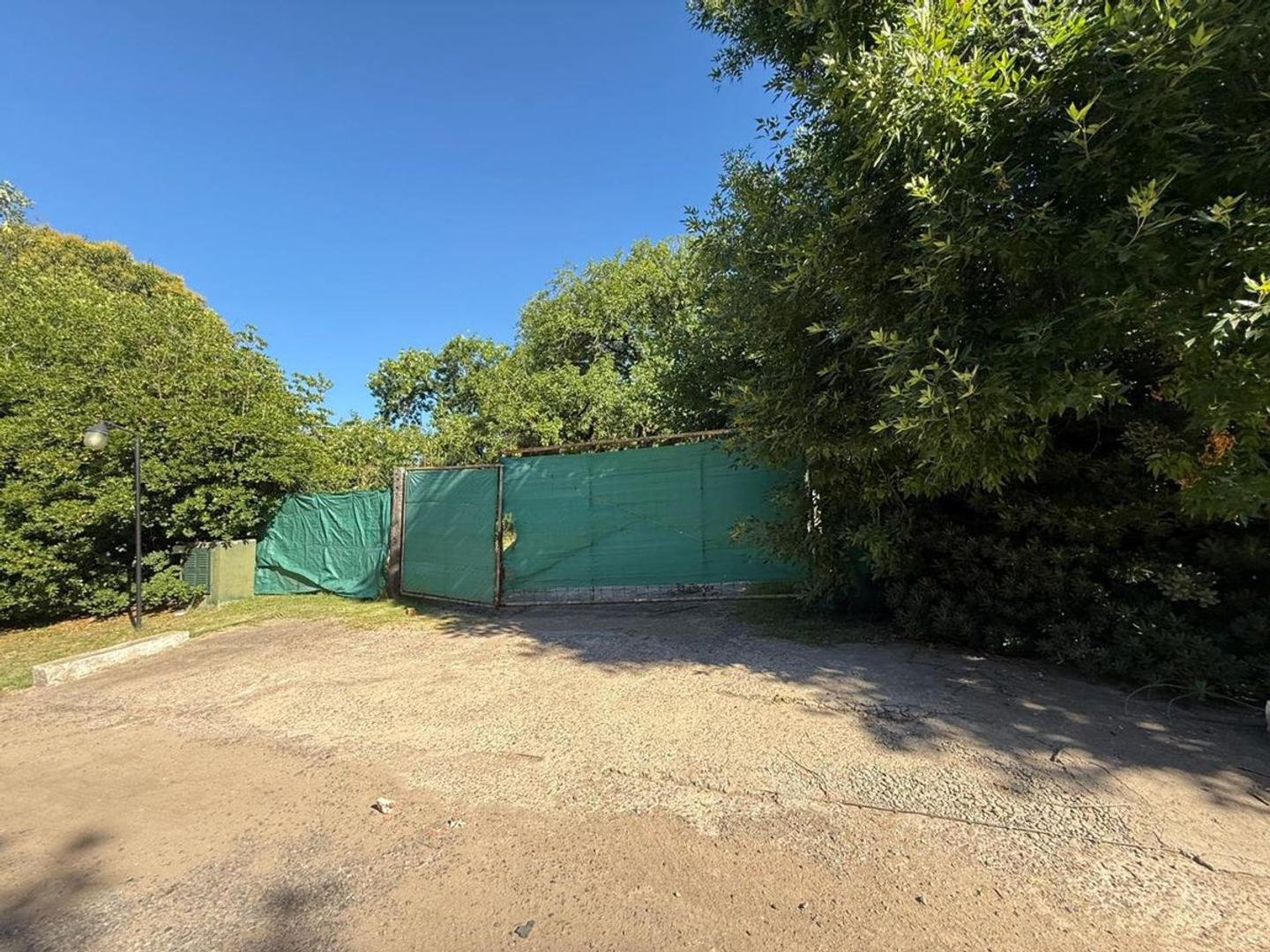 Monseñor D´andrea 1800