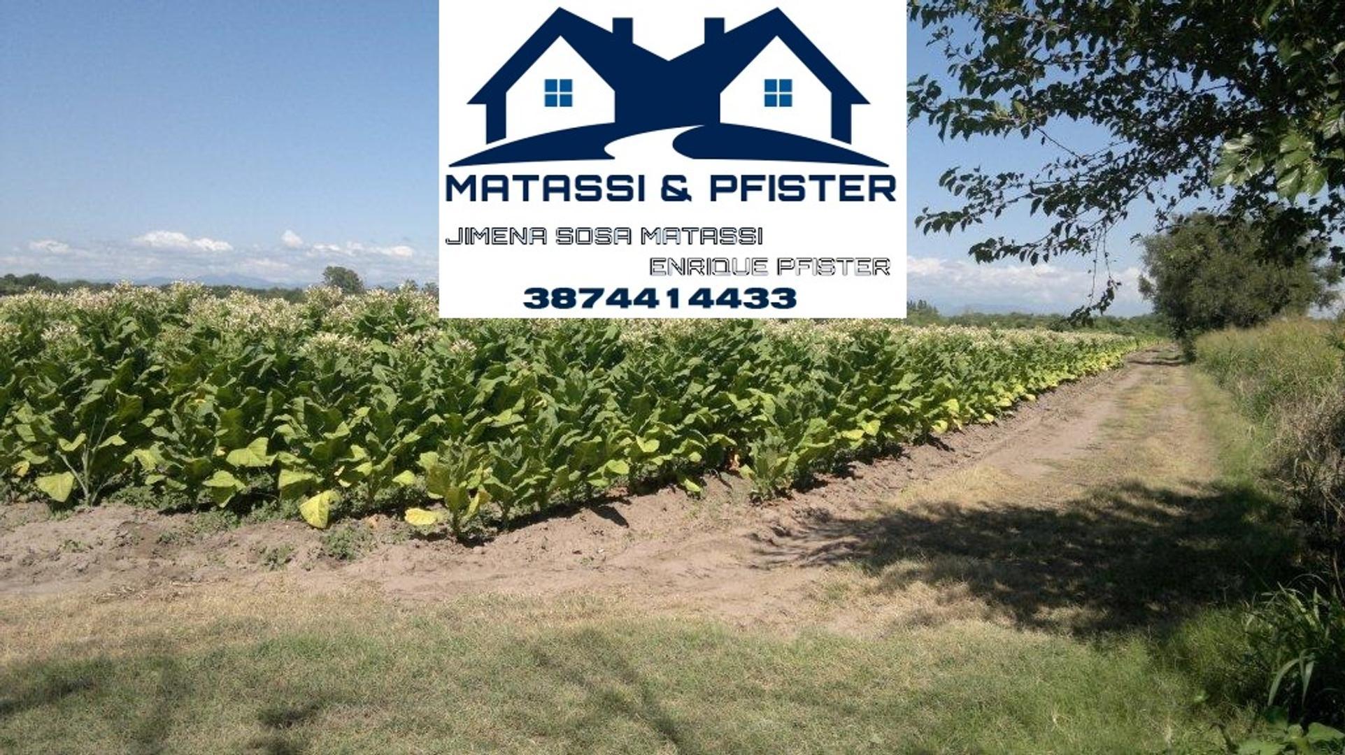 Ruta 34 Pampa Blanca Jujuy