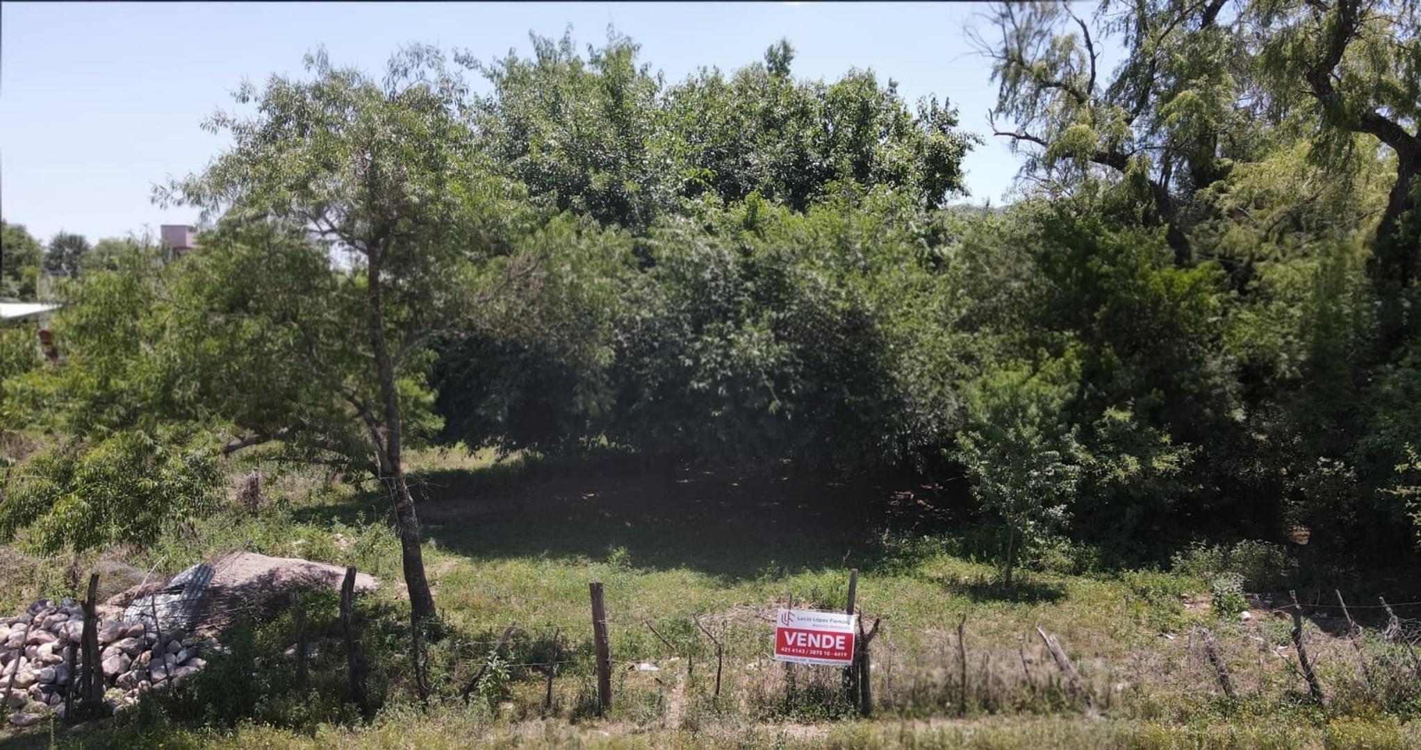 Los Pensamientos 100