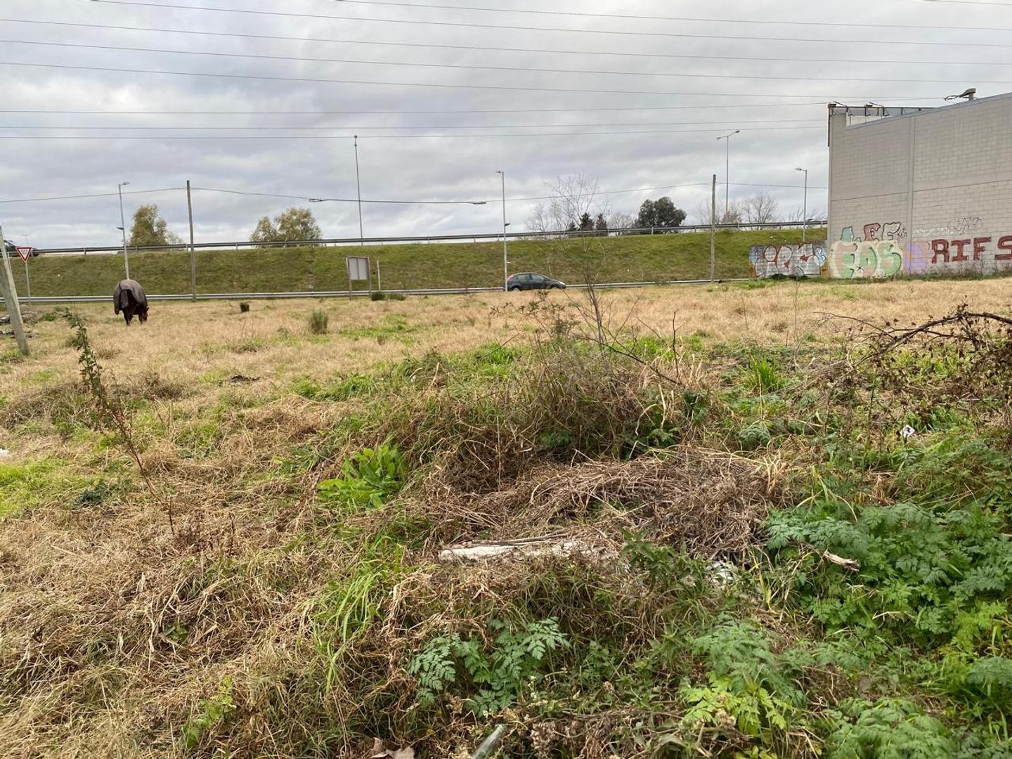 LOTE ALQUILER COLECTORA KM 54,5