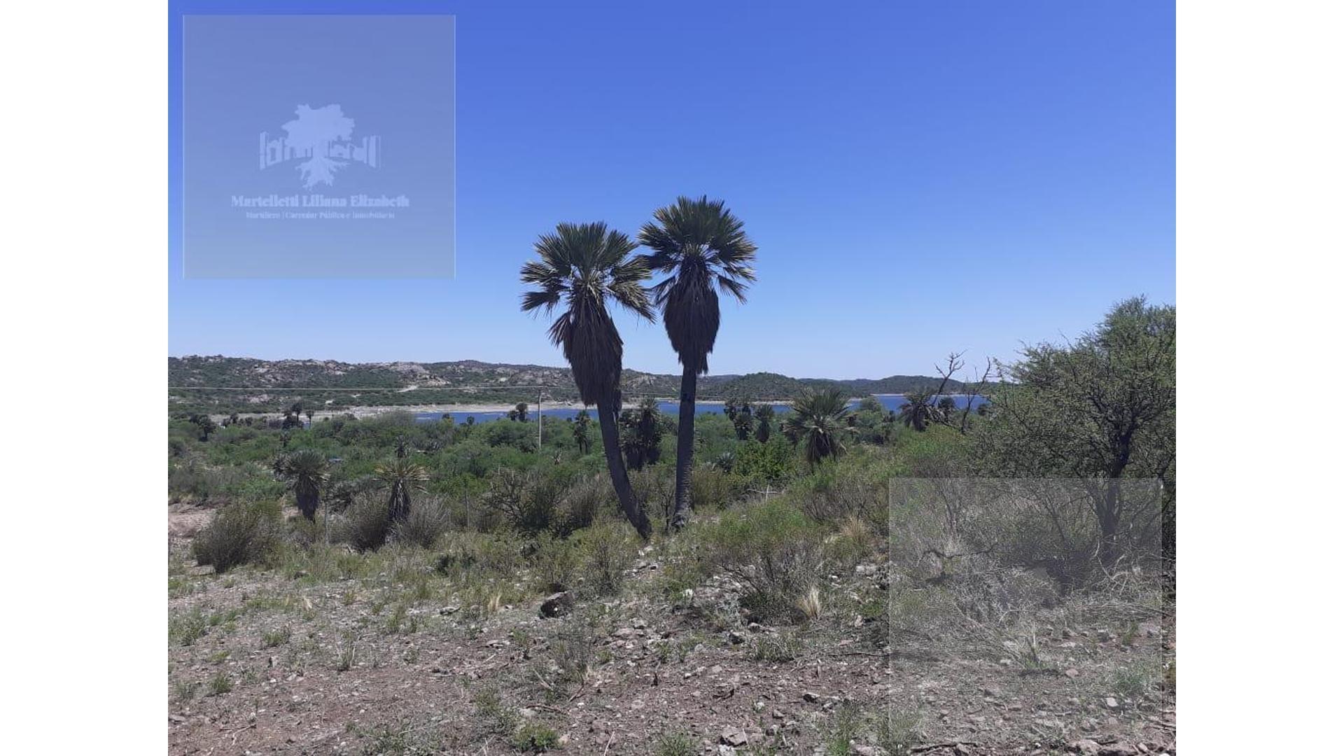 Campo - San Fco Del Monte De Oro