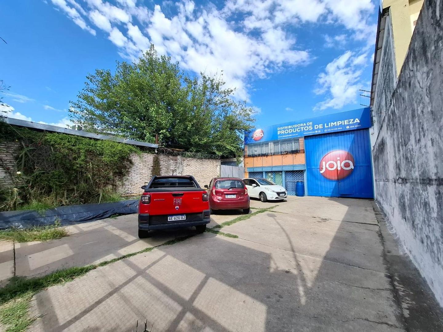 Paso de los Andes 1300