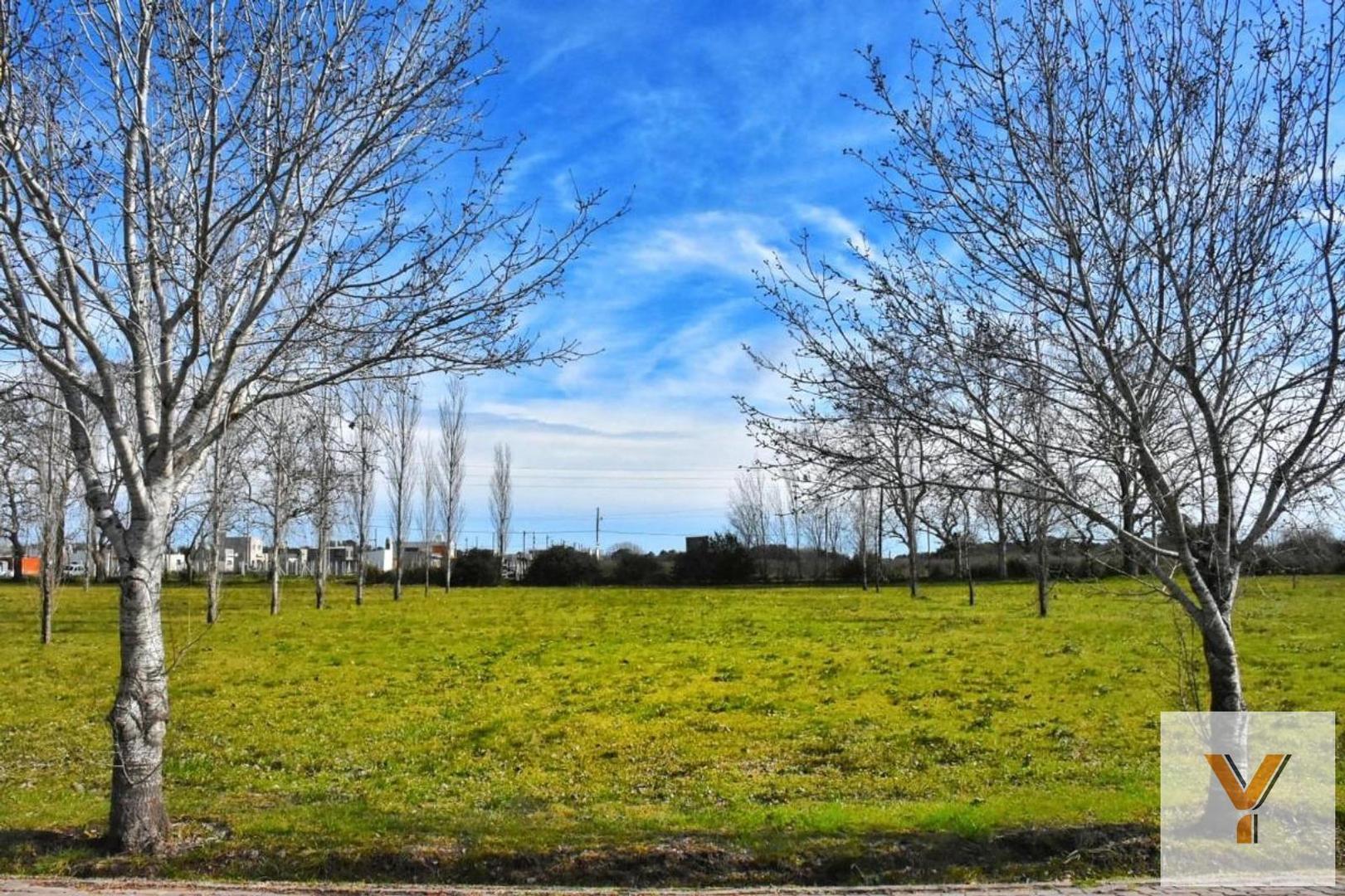 Lomas de Petion
