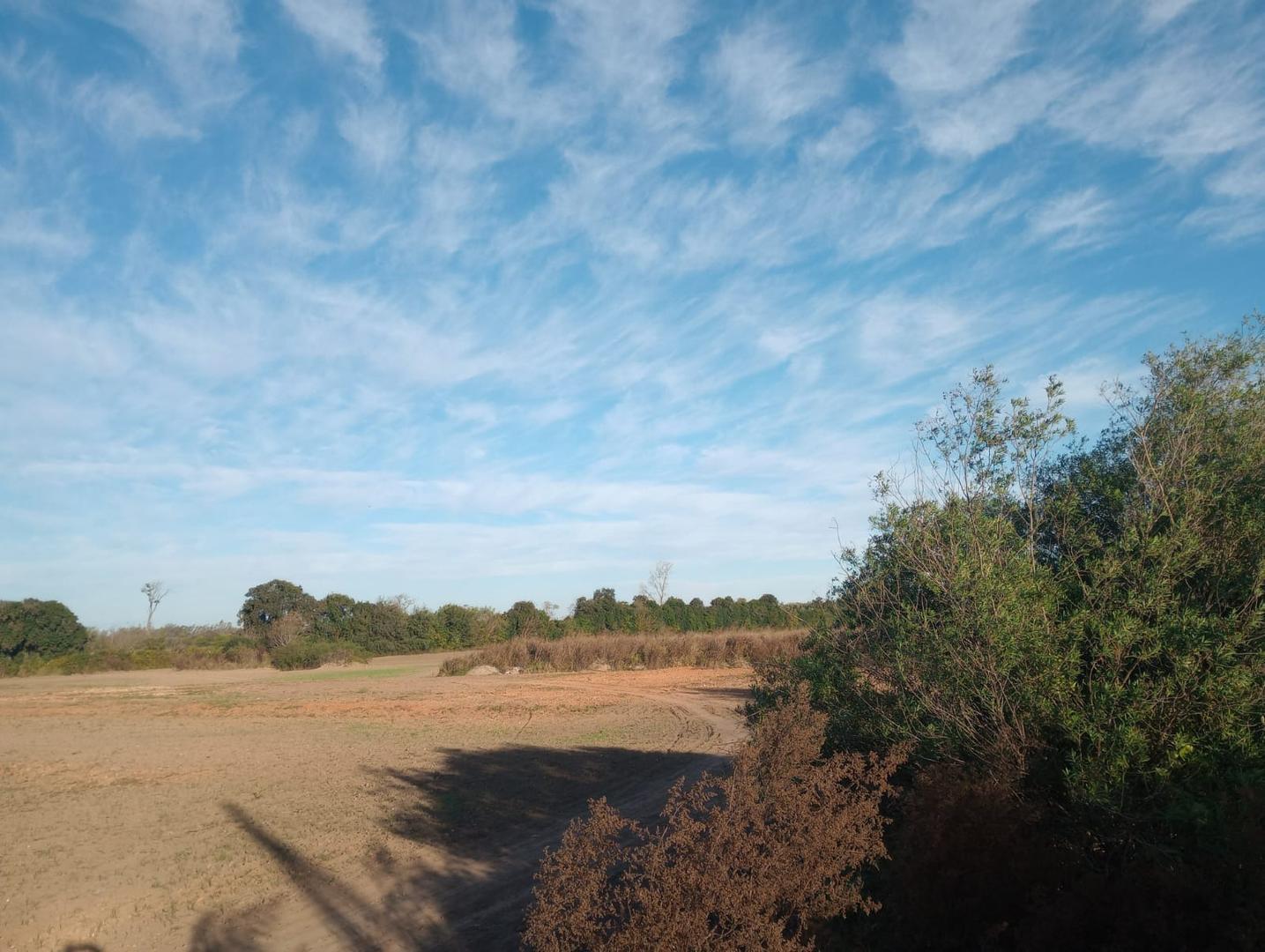 VENTA HECTAREAS CAMINO 60 CUADRAS