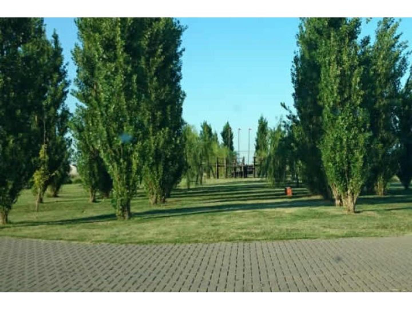 Terreno en Venta 13  mts Frente