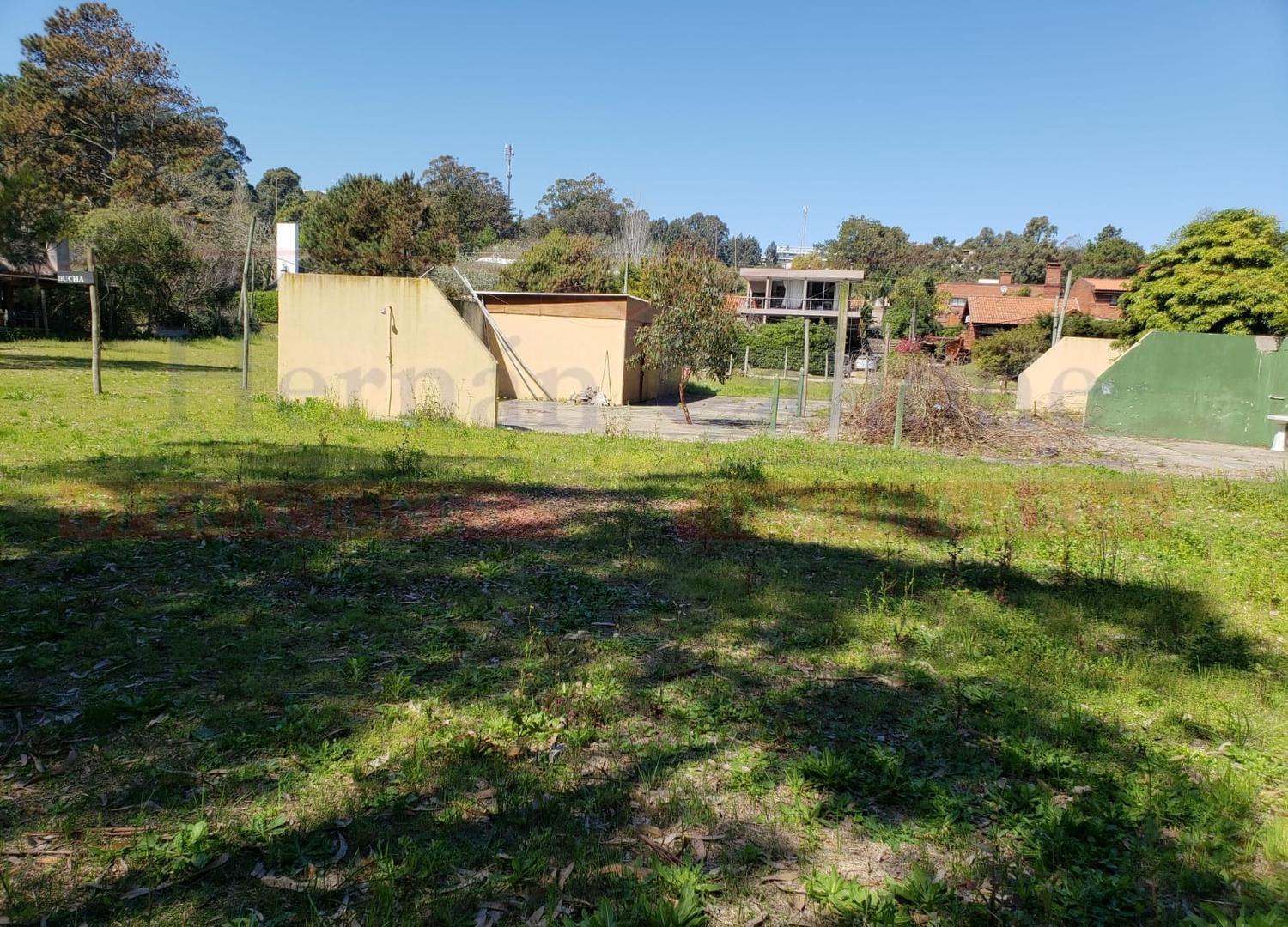 Terreno en Venta en Punta Ballena, USD 380.000