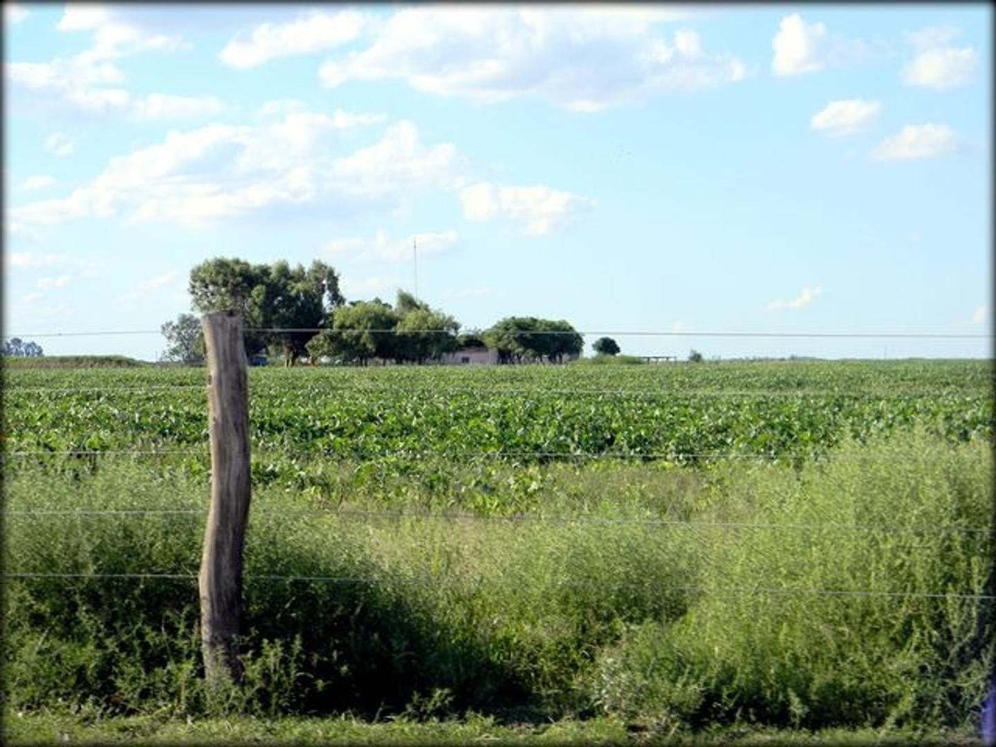 Venta 147 Hectareas.Zona El Fortin(Cba). Exp.Ganadera.