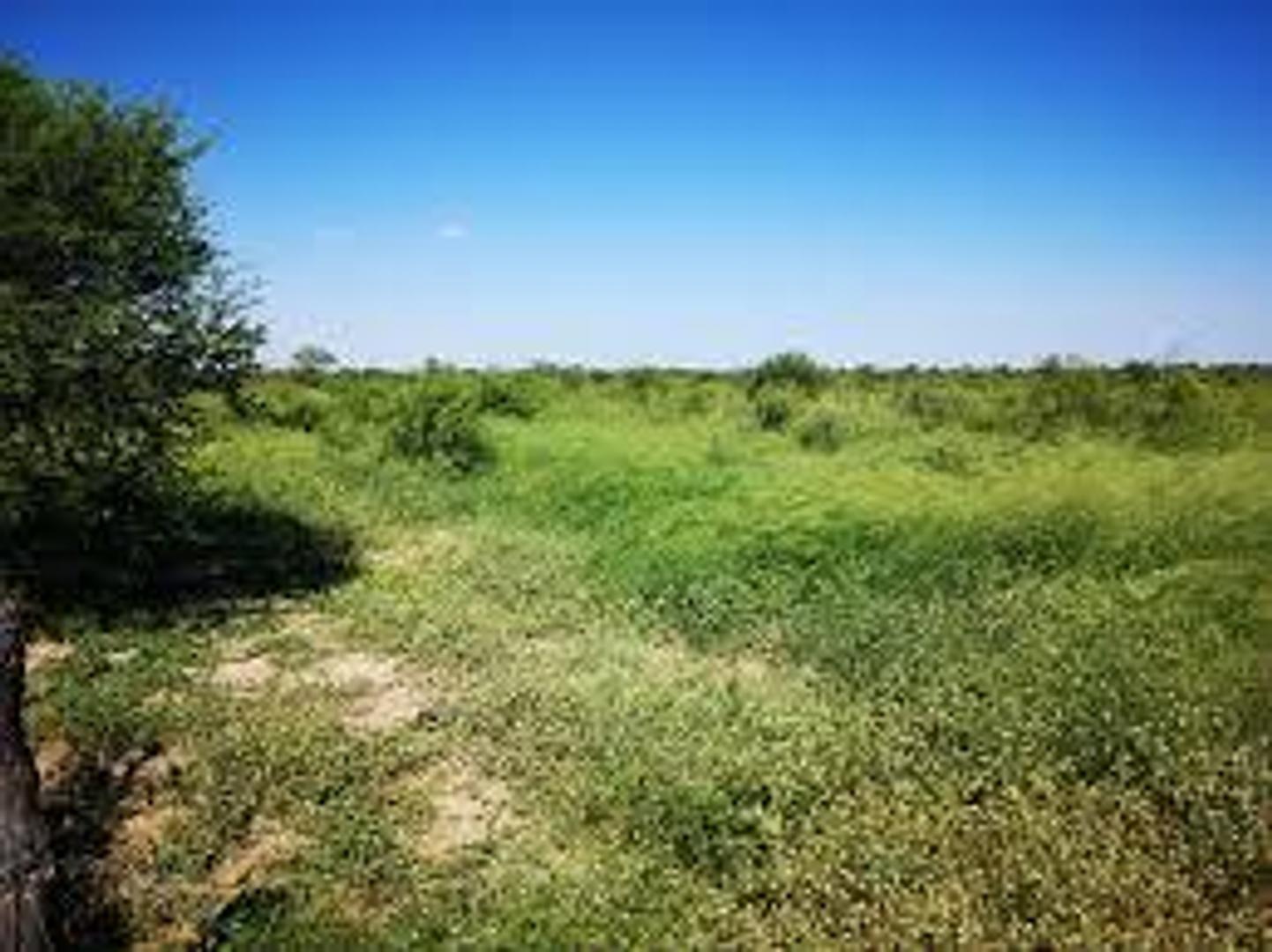 122 ha Ganderas en Venta - Herrera - Sgo del Estero