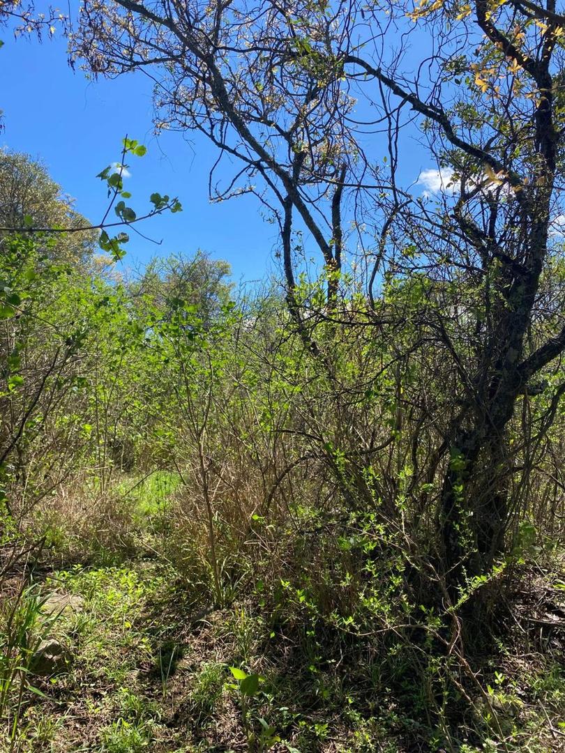 Terreno en Venta en Rio Ceballos, USD 6.350