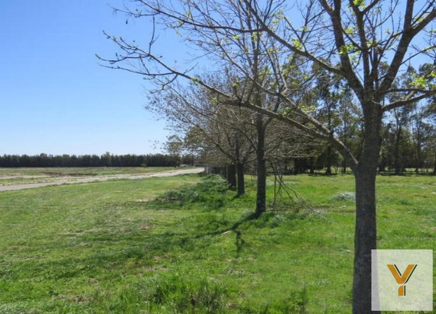 Terreno en venta - 1.015mts2 - Santa Inés III, Luján