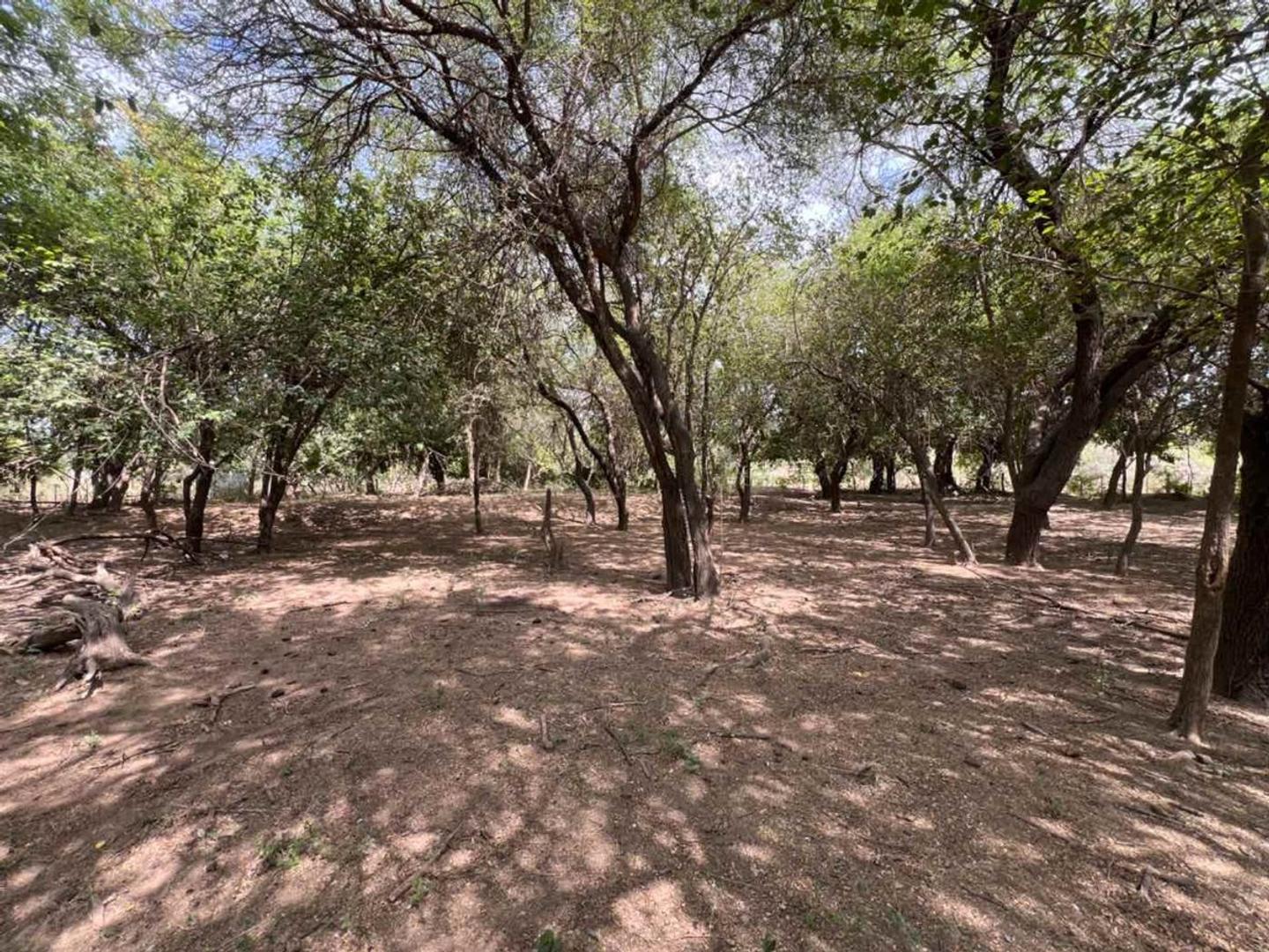 Terreno de 8 hectareas en El Zanjón - Ruta 9