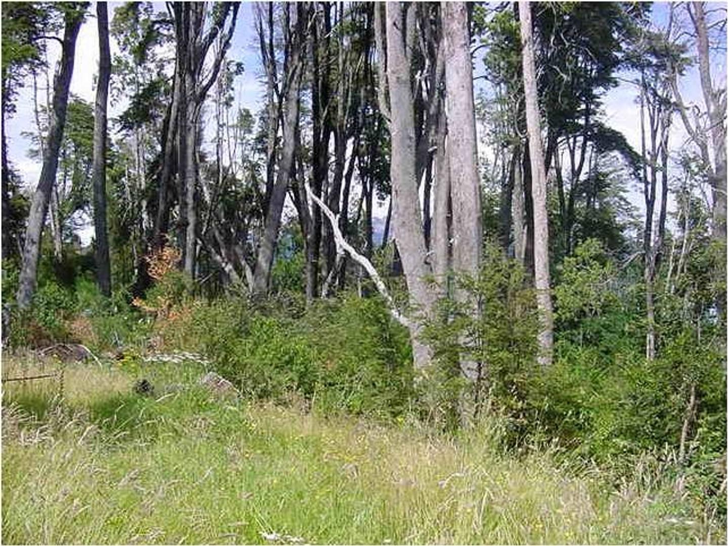 Terreno en Venta, FOT 15