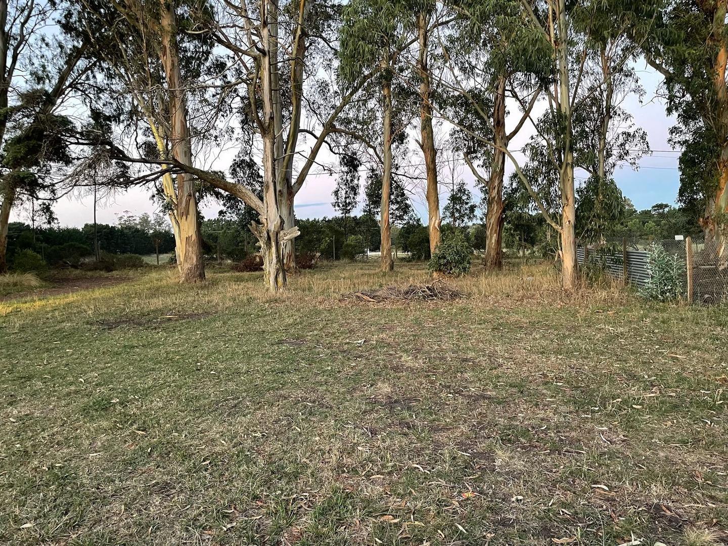 Terreno en Venta de 405,0 m2