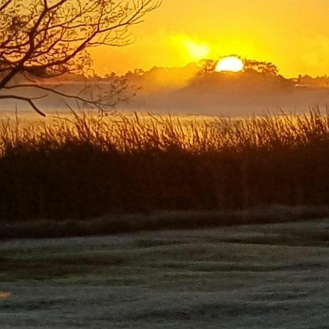 Terreno en Venta de 3700,0 m2